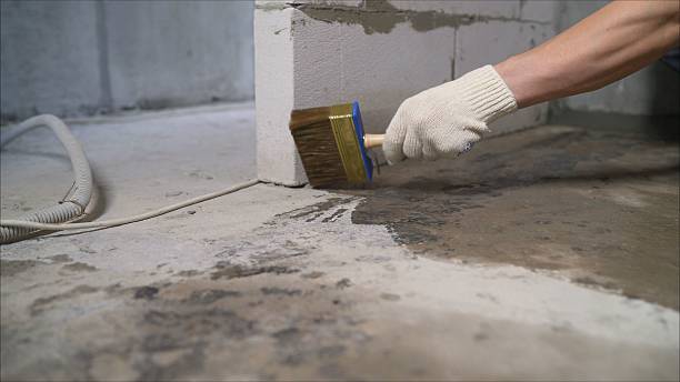 SJ Waterproofing Pros Emergency Waterproofing coverage map for Wilkinson, IN and surrounding area